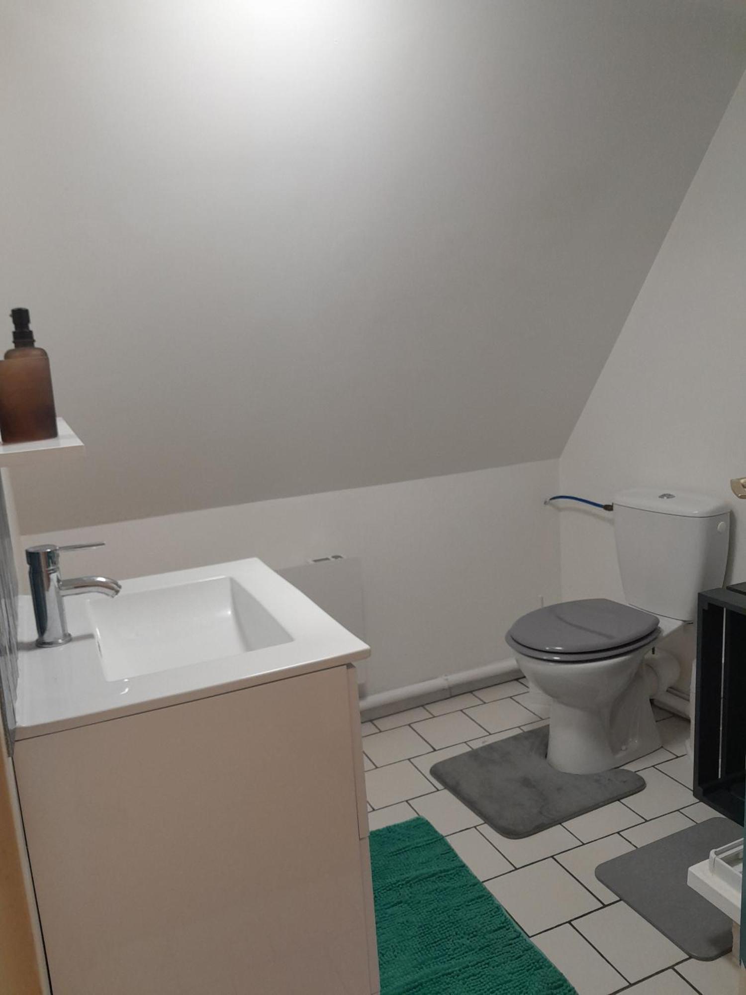 Duplex Charmant Au Coeur De Levroux 외부 사진